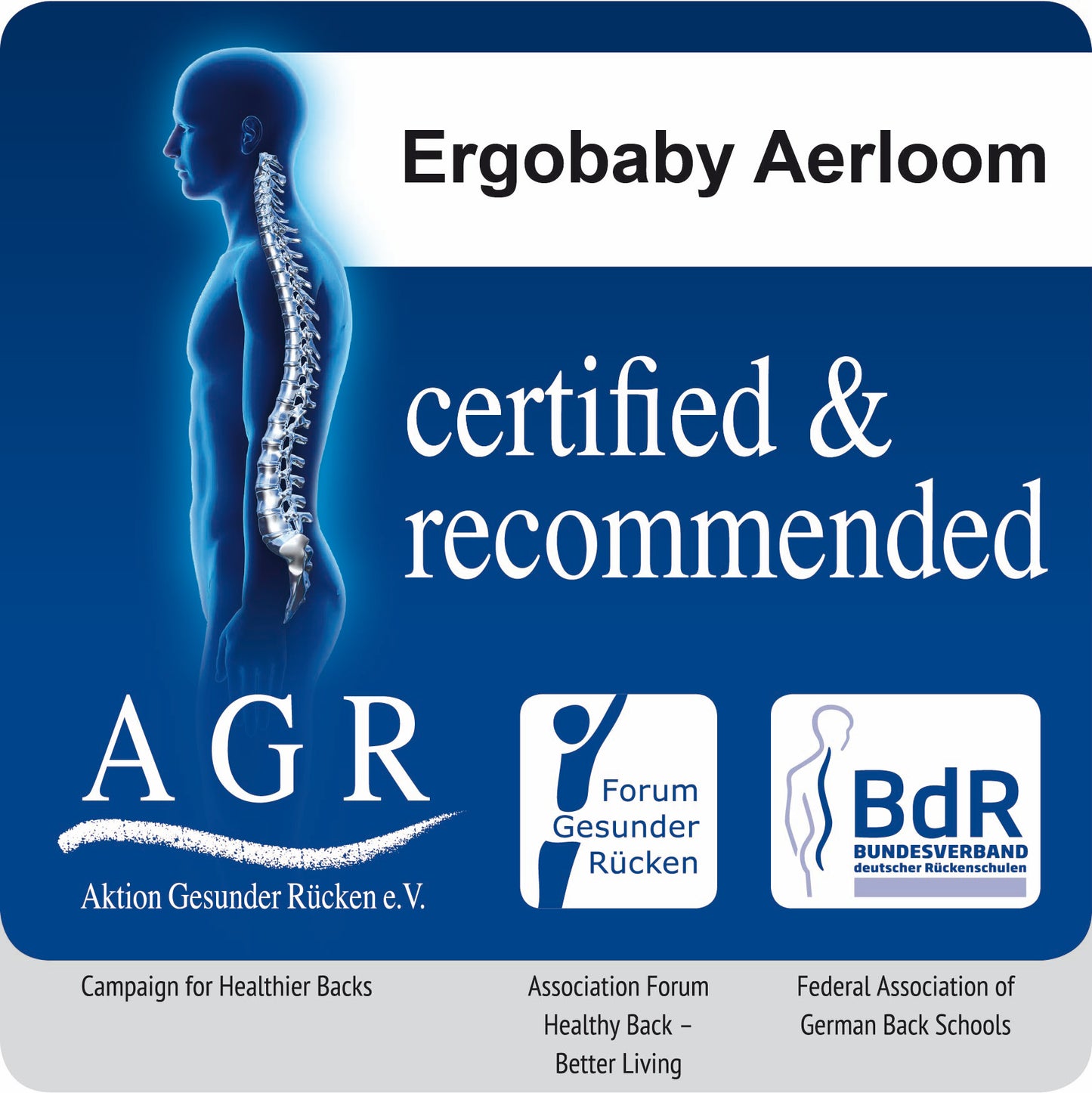 Ergobaby Aerloom Airflow Ultra Hafif , 0 -3 Yaş , 3 Taşıma Pozisyonlu Kanguru (Aqua Marine)